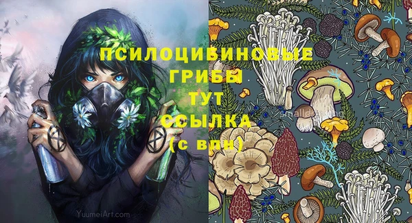хмурый Магас