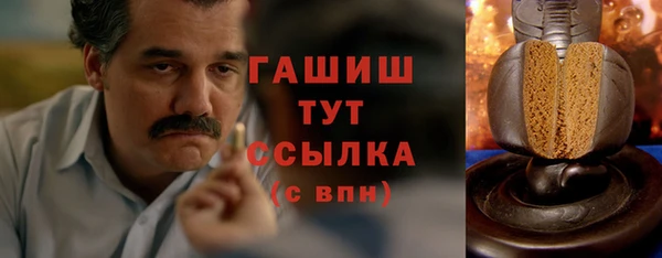 хмурый Магас