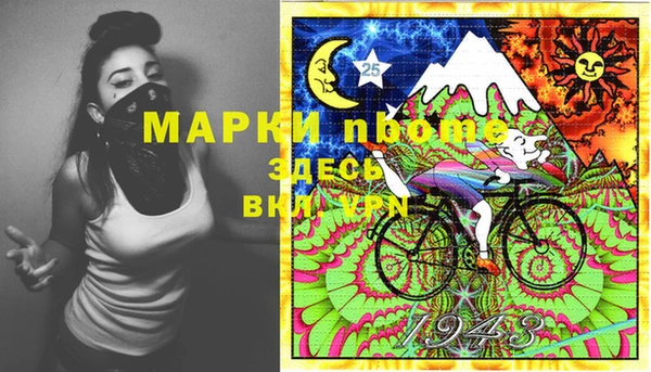 хмурый Магас