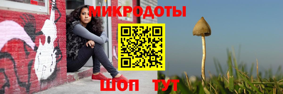 Галлюциногенные грибы MAGIC MUSHROOMS Ялуторовск